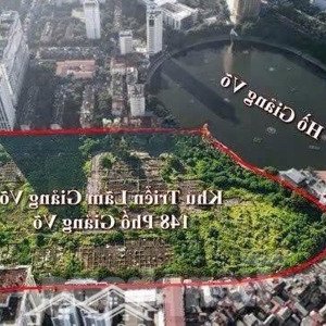 hotline dự án vinhomes giảng võ: 090.5956336 (miễn môi giới)
