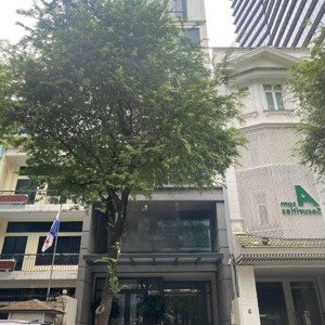 toà nhà 5 lê thánh tôn - quận 1 -dt: 8x23 - hầm 8 tầng ( khu phố nhật vip )