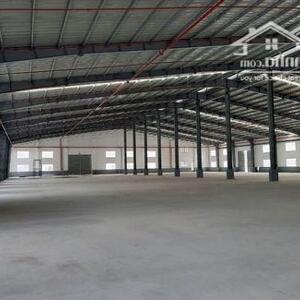 Cho Thuê Nhà Xưởng Mới Khu Công Nghiệp Long Hậu Cần Đước, Long An, Pccc Tự Động