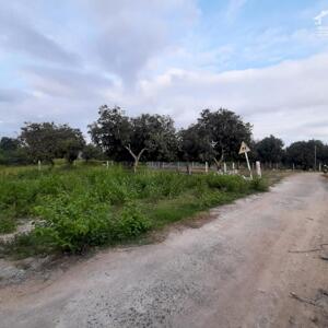 Đất full thổ cư Suối Tiên, Diên Khánh, Khánh Hòa DT: 467m2 ngang 10m. Đường ô tô. Chỉ 3,7tr/m2. Trong khu dân cư