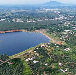 mảnh vườn 1000m2 hiếm có ngay hồ cầu dầu đầy đủ trái cây ăn trái: sầu riêng, bơ, mít, măng cụt