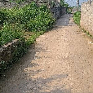 bán đất kỳ dương - chương dương - thường tín - hn.
dt 135.3m2 nở hậu mặt tiền 6m, mặt hậu 7m