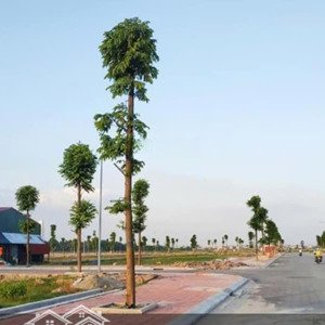 bán lô trục chính yên trung thụy hòa 100m2 mt 5m giá hơn 3 tỷ