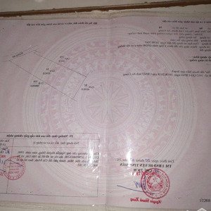 khu đất rộng rãi, có vườn xoài và nhà cấp 4 sẵn, gần khu du lịch tâm linh