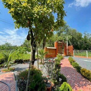 Tây Ninh,Giáp Củ Chi- Nhà Vườn 1100m2, Ngang 25m Full TC. Nhình 2ty