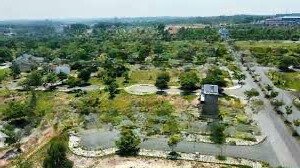 chính chủ bán đất full thổ cư mặt tiền 7m trung tâm tt long thành