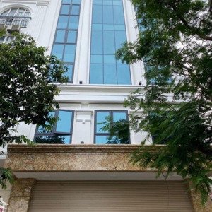 cho thuê gấp nhà phạm ngọc thạch, dt 50m2 x 7 tầng, thông sàn có thang máy, ô tô tránh. gía 30tr