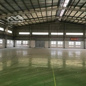 cho thuê kho xưởng mới tại kcn củ chi, pccc tự động, bàn giao t12/2025, đất: 3.320m2, xưởng 2.000m2