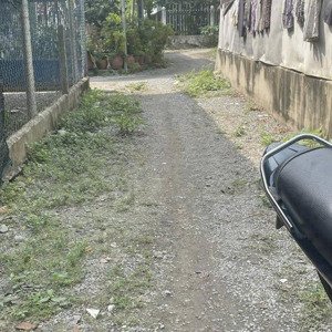cần bán đất định hoà gần ngã tư sở sao. 200m2 giá chỉ 1tỷ500 thương lượng