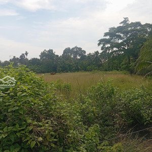 siêu phẩm 6ha suối tiên, diên khánh, khánh hòa, chỉ 1200 tỷ