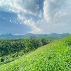 chính chủ cần bán lô đất view siêu đẹp chiềng khoa, vân hồ