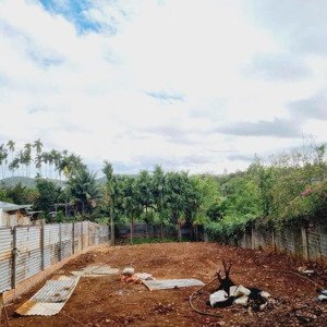 Bán đất Hơn 500m2, Thổ Cư 100 Gần đồi Thông Giá Tốt