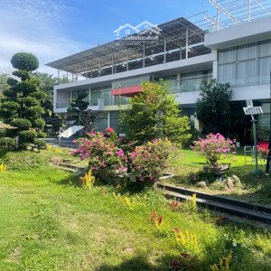 Giảm 30%- Bán Biệt Thự Vườn Có Sân Goft + Hồ Bơi Rộng 6.400m2 Tại Tp.thuận An, Lái Thiêu.