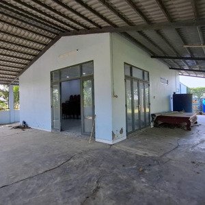 Nhà Sân Vườn 1066m2 View Kênh Mát Mẻ Xã Thuận Thành, Cần Giuộc Có 533m2 Thổ Cư Còn Lại đất Lúa