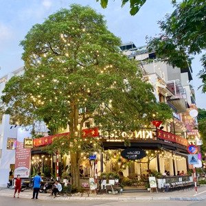 cho thuê nhà mặt phố tại nguyễn thị định, mặt tiền lô góc 25m, diện tích 250m2, 3 tầng