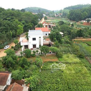 Bán Trang Trại Tại Thạch đồng, Thanh Thủy, Phú Thọ, Giá Tốt 2 Triệu Vnd, 822m2