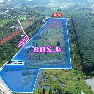 bán trang trại, khu nghỉ dưỡng tại đắk rmoan, gia nghĩa, đắk nông, 10 tỷ, 36000m2