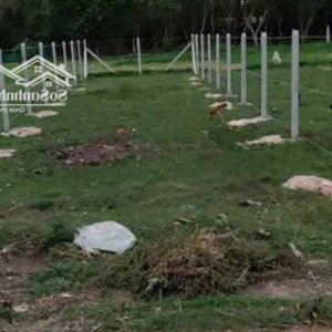 chủ kẹt tiền bán gấp lô đất ở trung lập thượng, củ chi 140m2