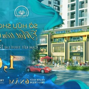 kẹt tiền bán gấp shophouse trần cao 7m vừa ở vừa kinh doanh tháng 7 nhận shop kinh doanh giá tốt