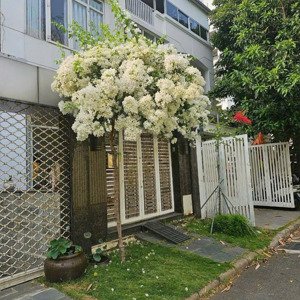 hot! biệt thự đẹp, giá siêu hời, cơ hội đầu tư tốt tại b02 nam thông 2 phú mỹ hưng quận 7