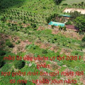 BÁN NHANH 6,5HA ĐẤT VƯỜN ĐẸP – SỔ SẴN – GIÁ CHỈ 135TR/1.000M²