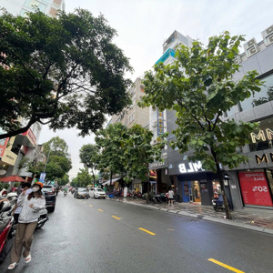 siêu phẩm mt lê thị riêng, p. bến thành, quận 1, 5.9x23m, 4 tầng - hđt: 160 triệu, giá 55 tỷ