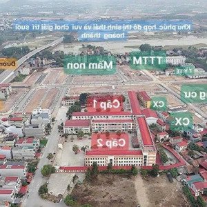quỹ căn ngoại giao giá siêu tốt tại dự án tân mỹ avenue - tp bắc giang. lô góc, khe thoáng
