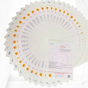 An Huy Group ra mắt khu đô thị An Huy Mỹ Việt 60ha phía Tây Bắc TP.HCM