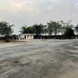 Cho Thuê 11.000m2 Nhà Xưởng Bầu Bàng Bến Cát - Bình Dương