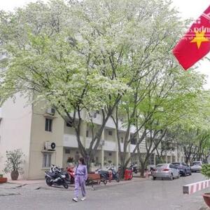  CHO THUÊ CĂN 3 TẦNG MẶT PHỐ CÁT DÀI , GẦN NGÃ 4 CÁT CỤT, TRƯỜNG NGÔ TẤT TỐ