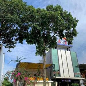 CHO THUÊ NHÀ MẶT TIỀN KDC NAM LONG NGANG 9M GIÁ 25 TRIỆU THÁNG
