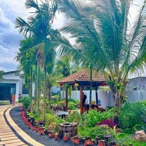 Nhà Vườn Hơn 800m2 Nở Hậu có thổ cư đường Nhựa Hòa Khánh sau chợ Eakao đi vô