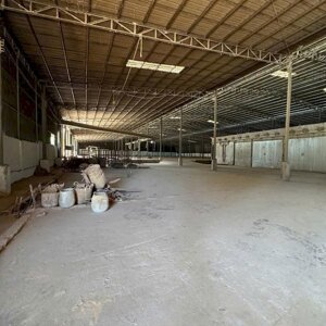 CHO THUÊ NHÀ XƯỞNG TẠI PHÚ GIÁO – BÌNH DƯƠNG | DIỆN TÍCH LỚN, CÓ SẴN LÒ SẤY GỖ, GÍA ƯU ĐÃI