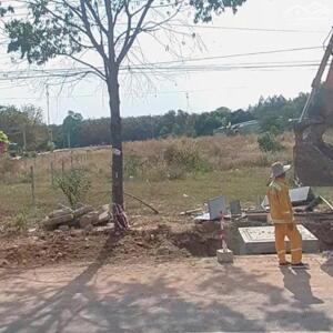 Cơ hội đầu tư đất nền Bàu Bàng – Vị trí đẹp, giá tốt!