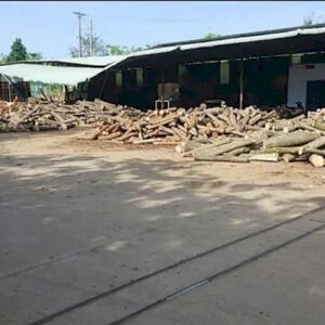 Cho Thuê Xưởng Gỗ, Ván Ép, Cưa Xẻ Tại Chơn Thành Bình Phước – Diện Tích 14.000m², Đầy Đủ Máy Móc, PCCC, Pháp Lý 