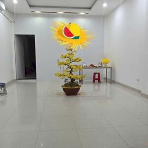 Cho thuê Mặt bằng 45m2 mặt tiền đường 15m Gần Trần Hưng Đạo, Cầu Rồng Sông Hàn
