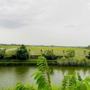 3 sào có thổ cư 420m2 view cánh đồng mát mẻ Khánh Xuân BMT