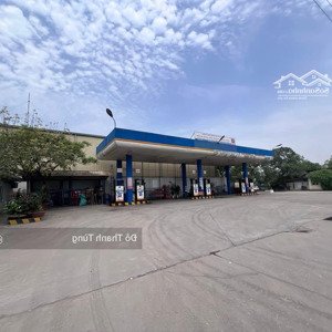 Chuyển Nhượng Cổ Phần Công Ty 2 Dự án, 1 Cây Xăng Và 1 Trường Trung Cấp Nghề. Khách Mua Hđộng Luôn