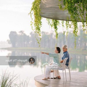 eco retreat truyền đời từ 3 thế hệ bằng ngôi nhà dưới tán rừng 4 triệu cây xanh và cổ thụ