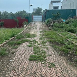 cho thuê các khu đất trống an dương - tây hồ