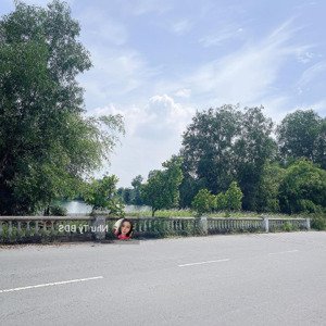 view hồ sinh thái 8x20m sổ hồng riêng mặt tiền đường nhựa 15m giá chỉ hơn 3 tỷ