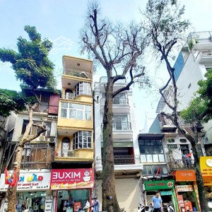 cho thuê cửa hàng mặt phố lò đúc vị trí kinh doanh đắc địa tại trung tâm hà nội