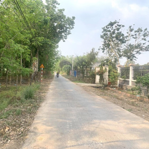 bán đất nông nghiệp tại đường phú thuận (lộ giới 12m), thuộc xã phú mỹ hưng, huyện củ chi, tp.hcm