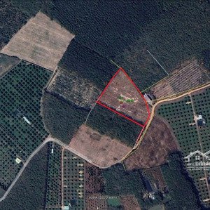 đất đẹp, giá cả phải chăng tại hưng thuận, trảng bàng, tây ninh. diện tích 10.009m², giá 10 tỷ