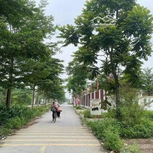 55tr/m đấu giá khánh tân - sài sơn