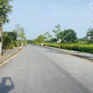 Bán đất trong khu đô thị Park Hill Thành Công, Vĩnh Yên, Vĩnh Phúc