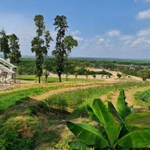 bán 3.2ha đất vườn sầu riêng 700 cây tại tân phú, đồng nai, có sẵn nhà vườn