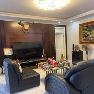 cần bán căn penhouse 235 m2, tại tòa 17 t mặt đường hoàng đạo thúy - cầu giấy, căn góc thoáng mát