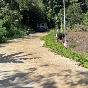 bán đất tại xã bình ba, châu đức, bà rịa vũng tàu, 550 tchâu đức, bà rịa vũng tàu, 550 triệu, 140m2