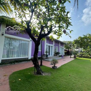 Bán Trang Trại, Khu Nghỉ Dưỡng Tại Xã Bình Mỹ, Củ Chi, Hồ Chí Minh, 1ồ Chí Minh, 12 Tỷ Vnd, 3000 M2